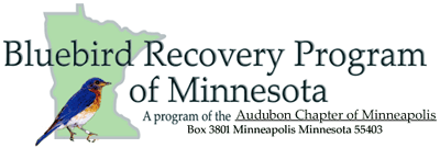 Minnesota Bluebird Recovery Program