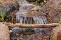 backyard-waterfall-stream3