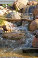 stream-waterfalls4
