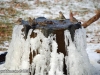 3-finches-bird-bath-fountain-mn