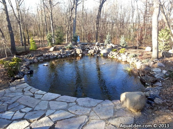 deck-view-backyard-pond-mn