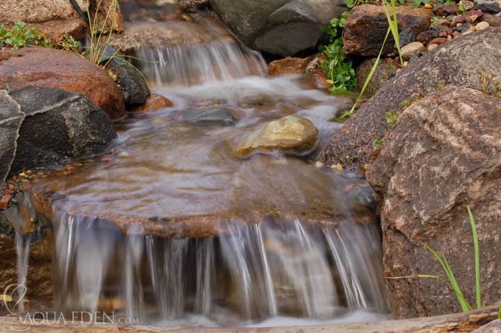backyard-waterfall-stream-faribo