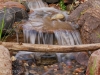 backyard-waterfall-stream-log-minnesota